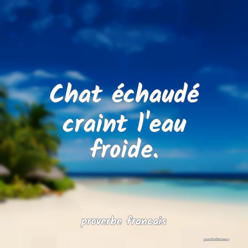  Chat échaudé craint l'eau froide.