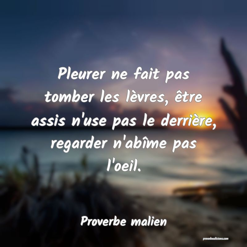 Pleurer ne fait pas tomber les lèvres, être assis n'use pas le derrière, regarder n'abîme pas l'oeil.