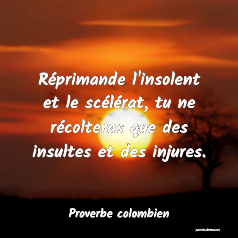 Réprimande l'insolent et le scélérat, tu ne récolteras que des insultes et des injures.