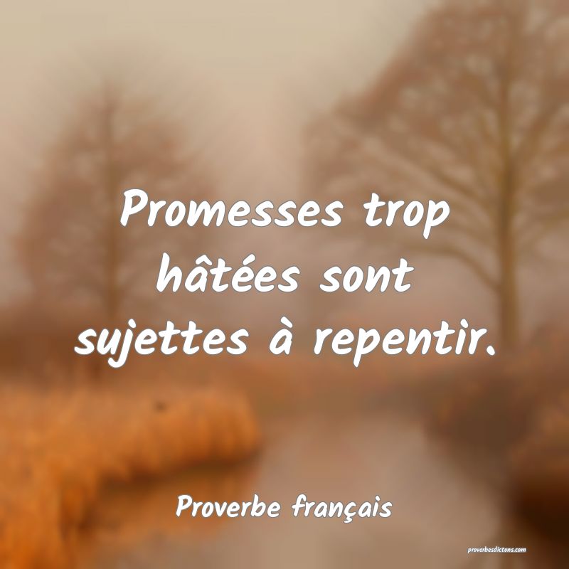 Promesses trop hâtées sont sujettes à repentir.