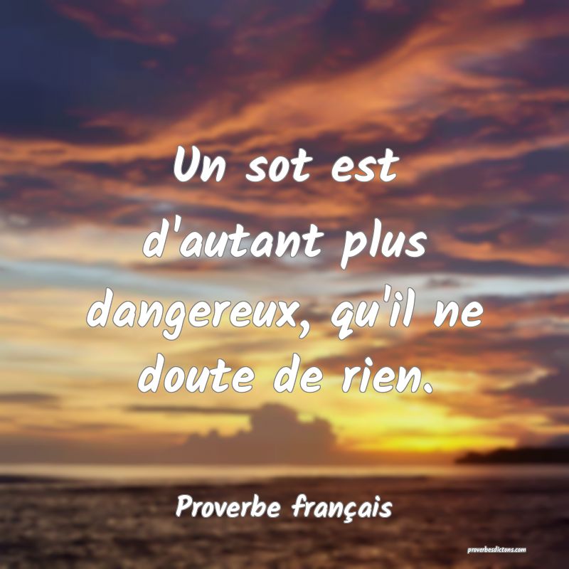 Un sot est d'autant plus dangereux, qu'il ne doute de rien.
