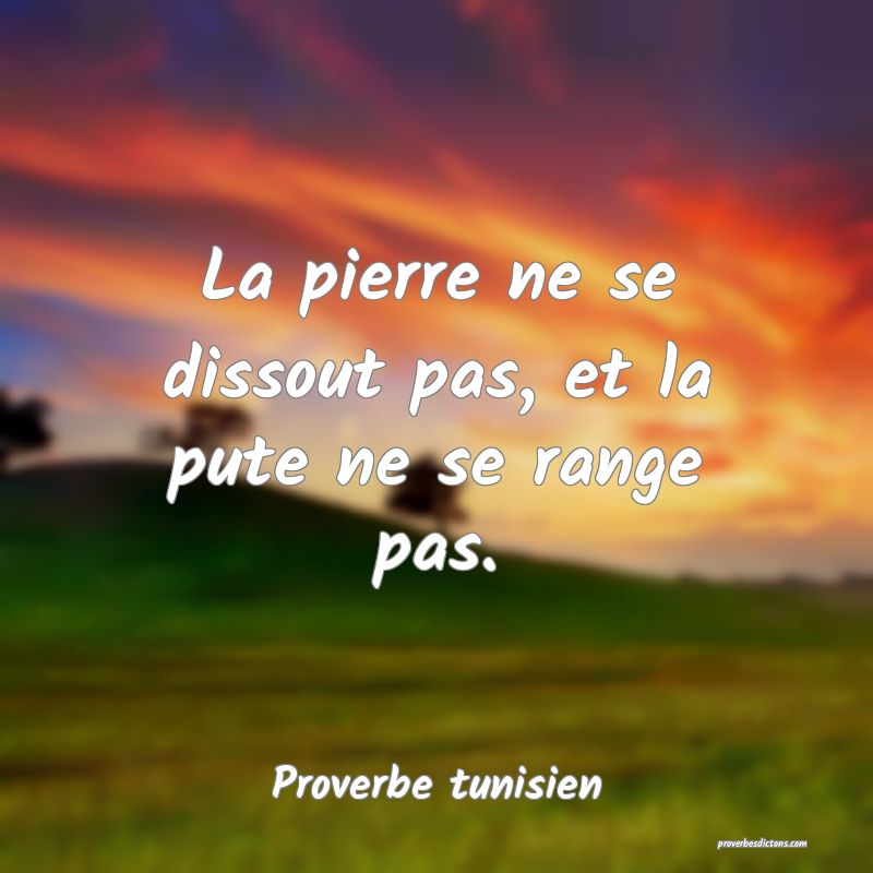 La pierre ne se dissout pas, et la pute ne se range pas.