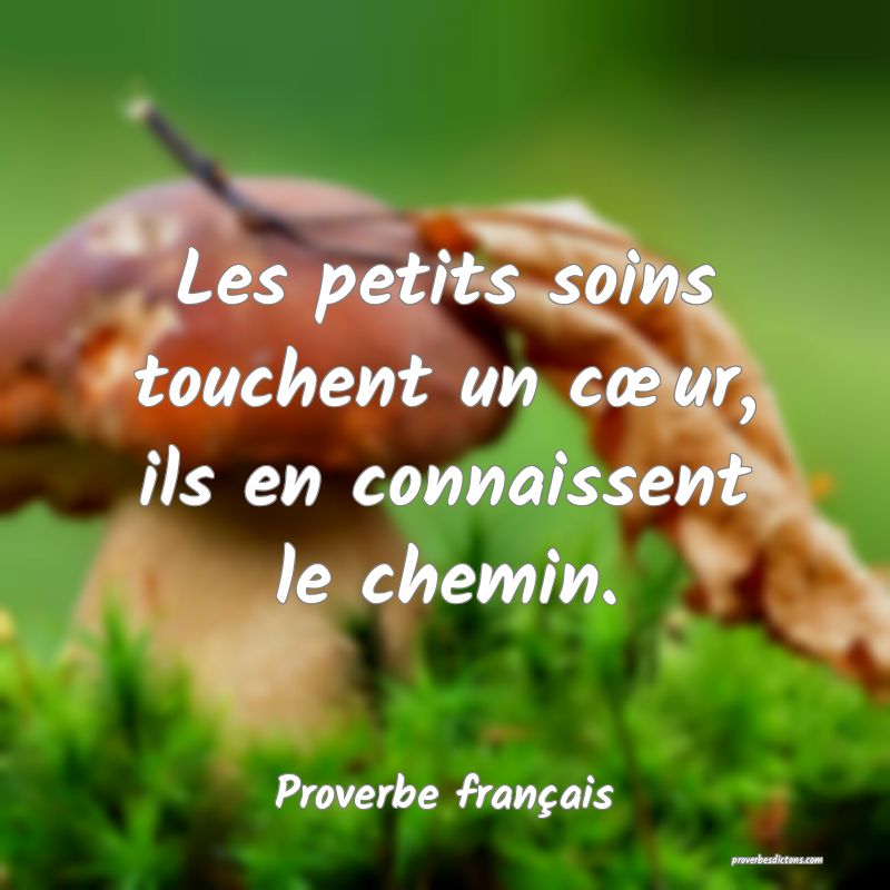 Les petits soins touchent un cœur, ils en connaissent le chemin.