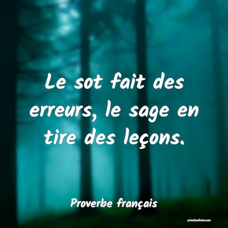 Le sot fait des erreurs, le sage en tire des leçons.