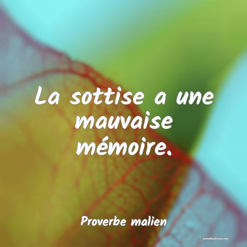 La sottise a une mauvaise mémoire.