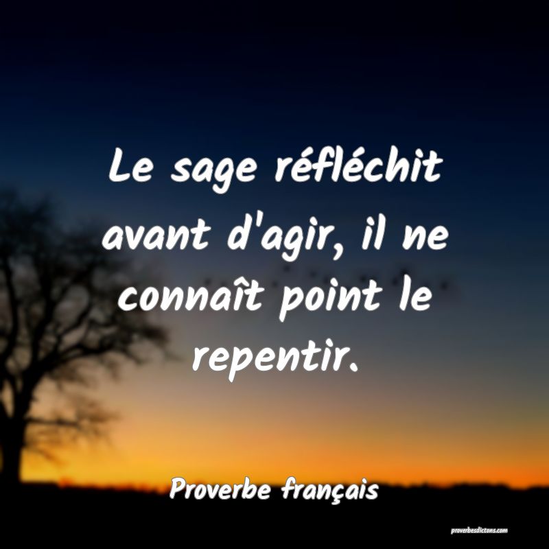 Le sage réfléchit avant d'agir, il ne connaît point le repentir.