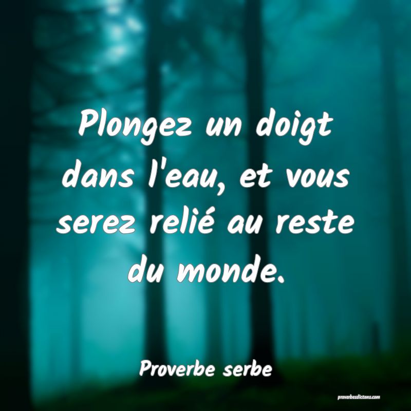 Plongez un doigt dans l'eau, et vous serez relié au reste du monde.