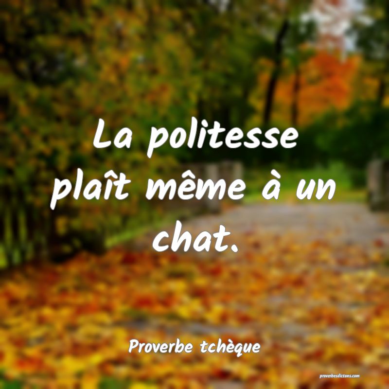 La politesse plaît même à un chat.