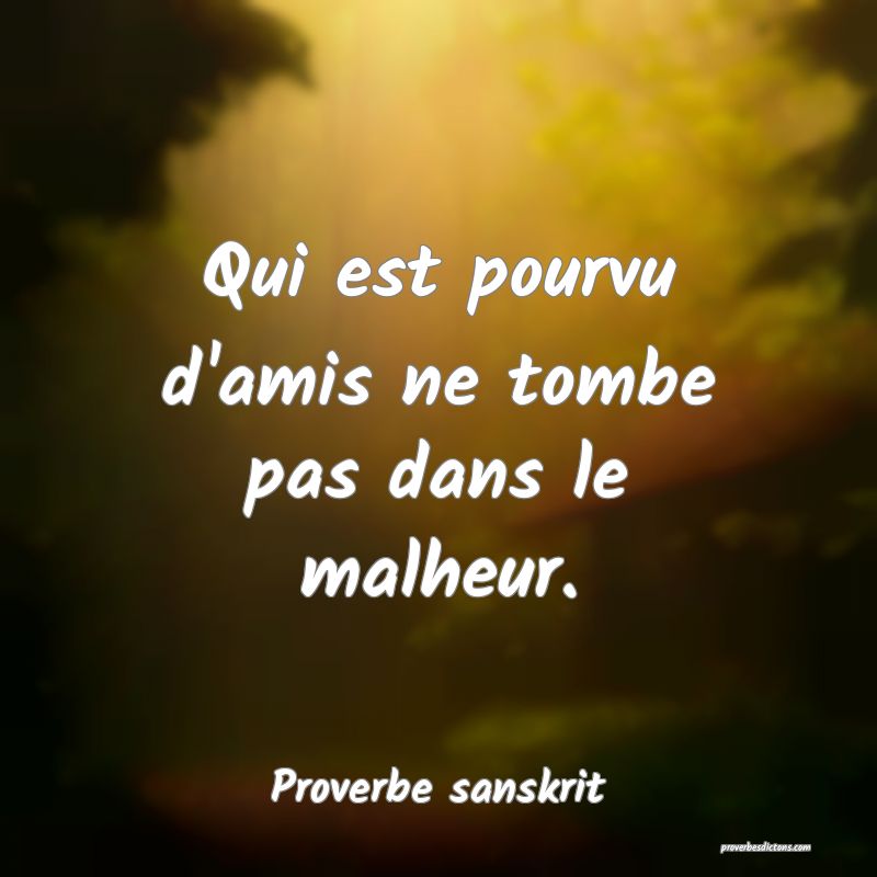 Qui est pourvu d'amis ne tombe pas dans le malheur.