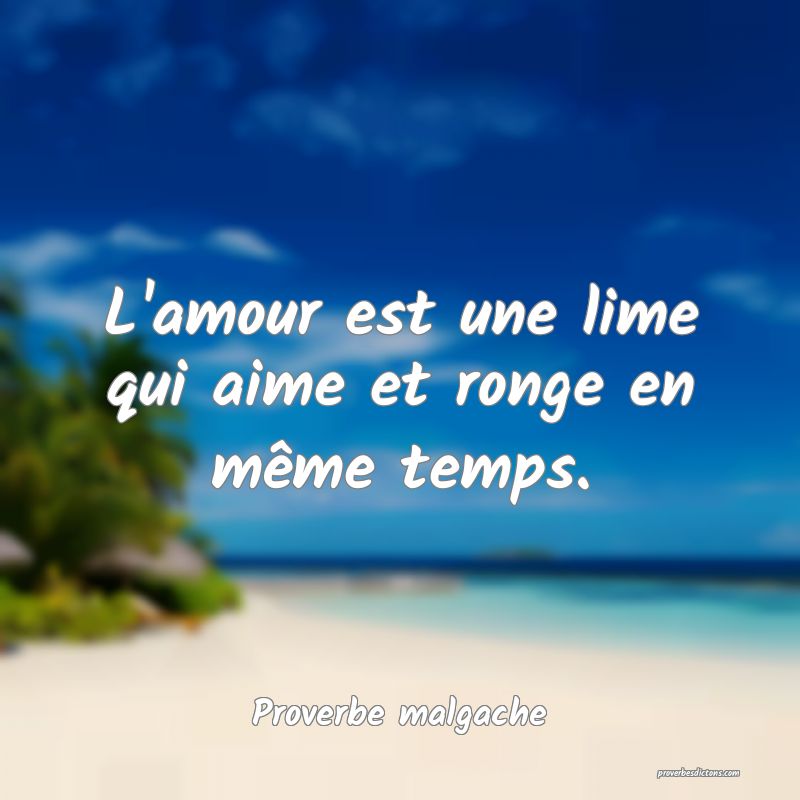 L'amour est une lime qui aime et ronge en même temps.