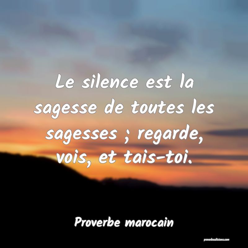 Le silence est la sagesse de toutes les sagesses ; regarde, vois, et tais-toi.