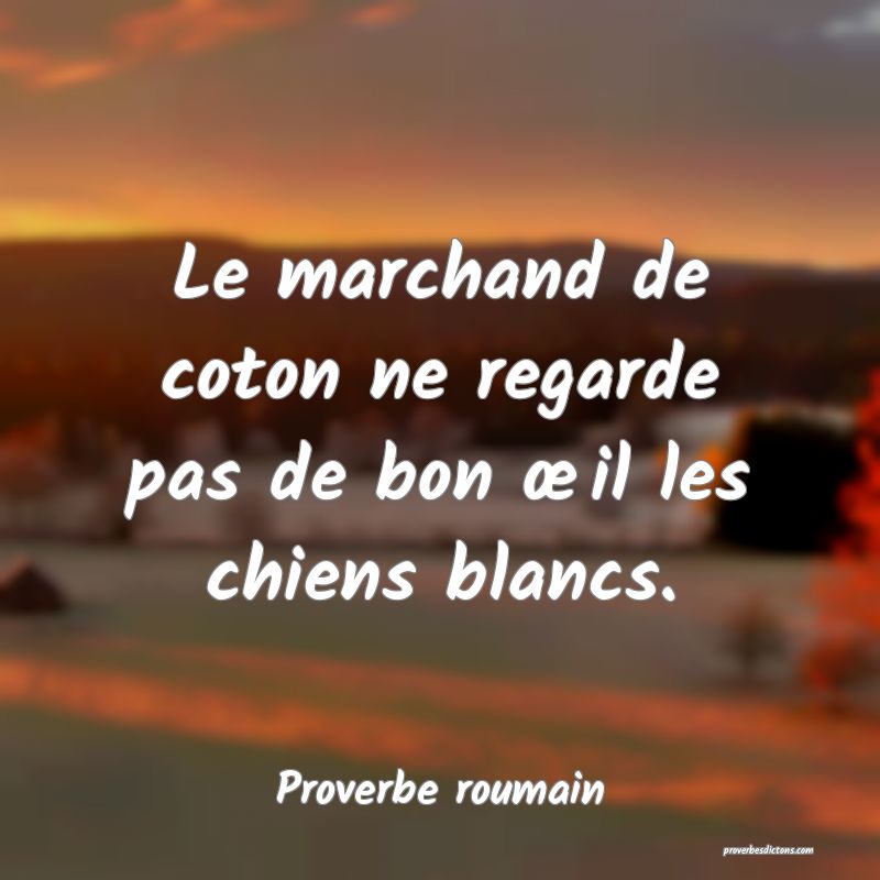 Le marchand de coton ne regarde pas de bon œil les chiens blancs.