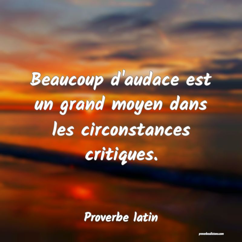Beaucoup d'audace est un grand moyen dans les circonstances critiques.