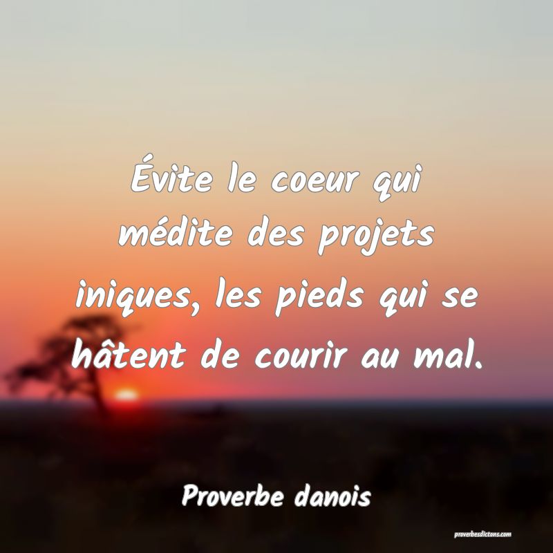 Évite le coeur qui médite des projets iniques, les pieds qui se hâtent de courir au mal.