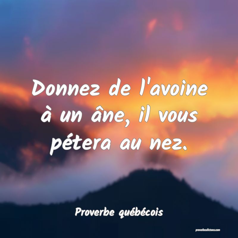  Donnez de l'avoine à un âne, il vous pétera au nez.