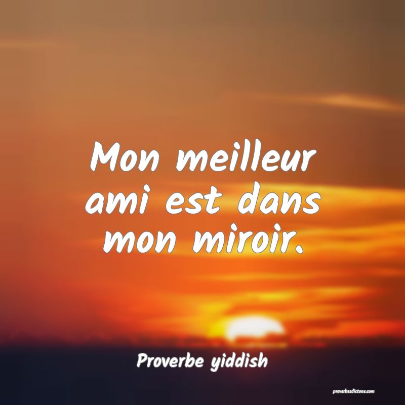 Mon meilleur ami est dans mon miroir.