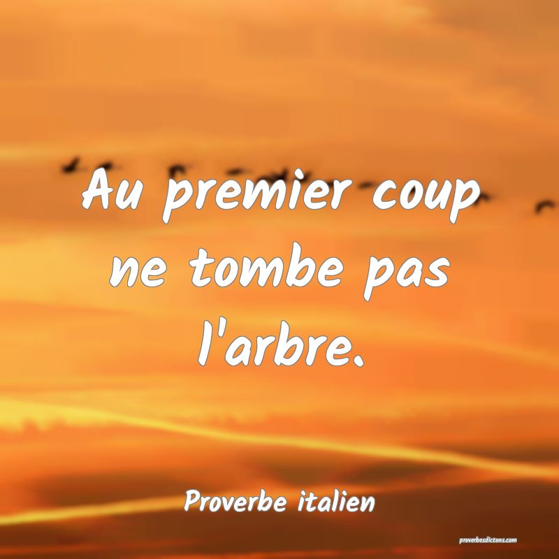 Au premier coup ne tombe pas l'arbre.