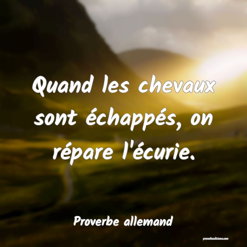 Quand les chevaux sont échappés, on répare l'écurie.