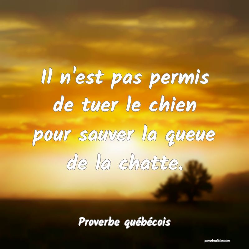  Il n'est pas permis de tuer le chien pour sauver la queue de la chatte.