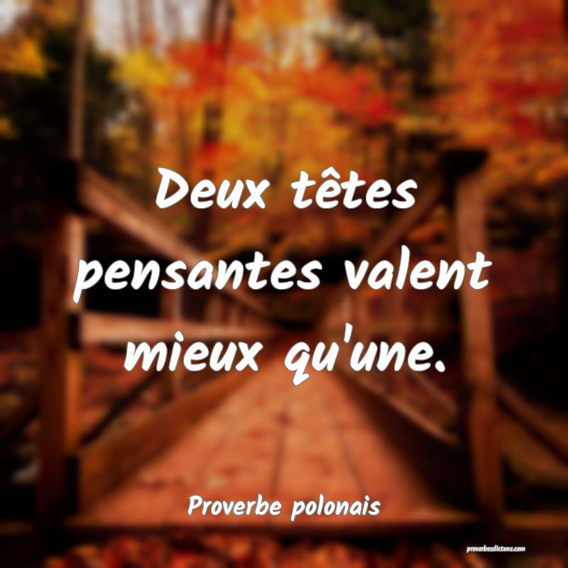 Deux têtes pensantes valent mieux qu'une.