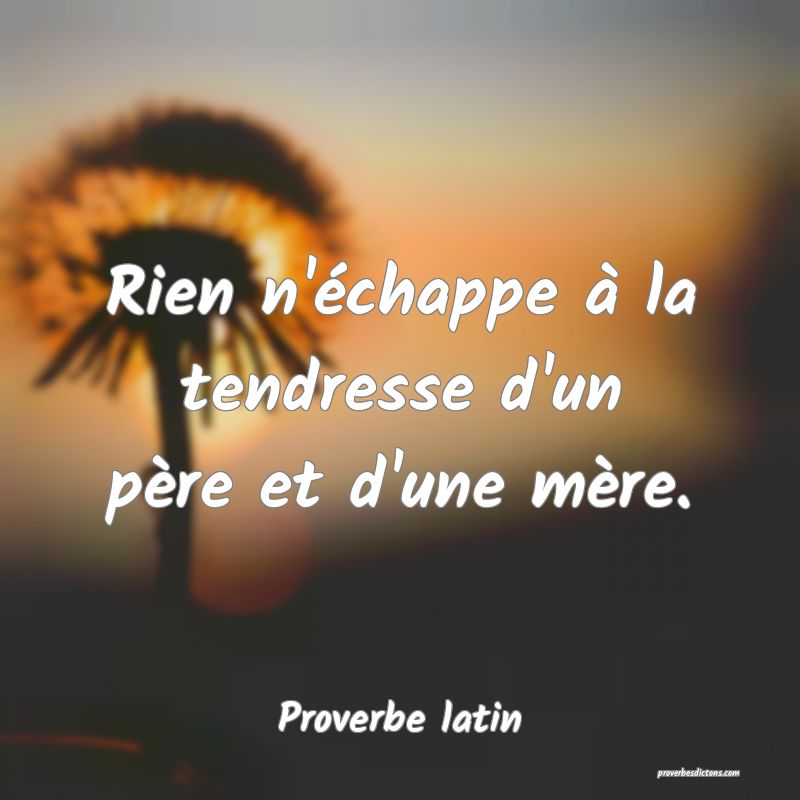 Rien n'échappe à la tendresse d'un père et d'une mère.