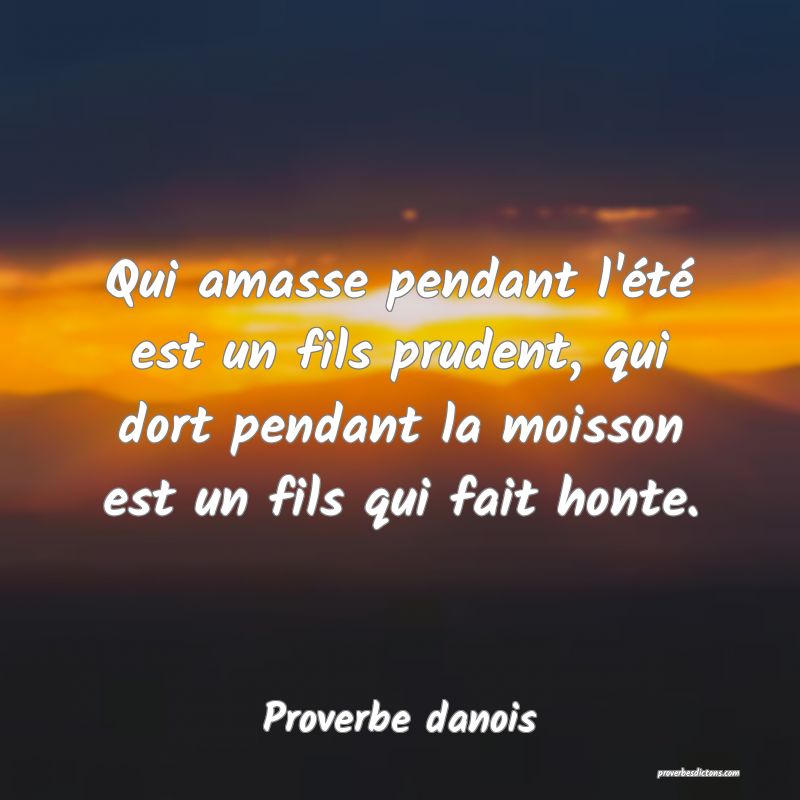 Qui amasse pendant l'été est un fils prudent, qui dort pendant la moisson est un fils qui fait honte.