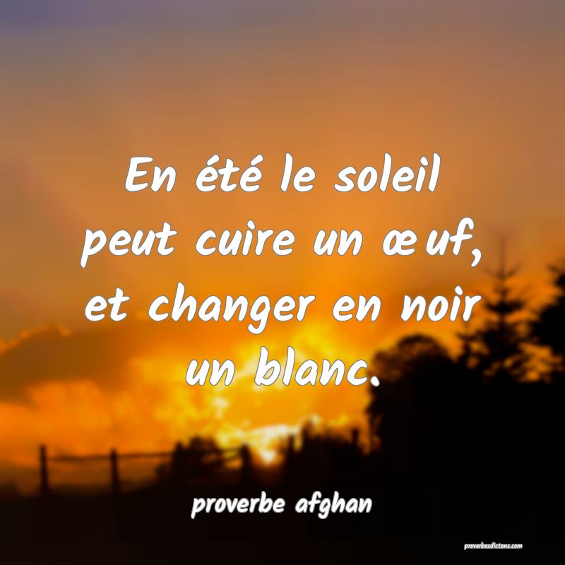 En été le soleil peut cuire un œuf, et changer en noir un blanc.