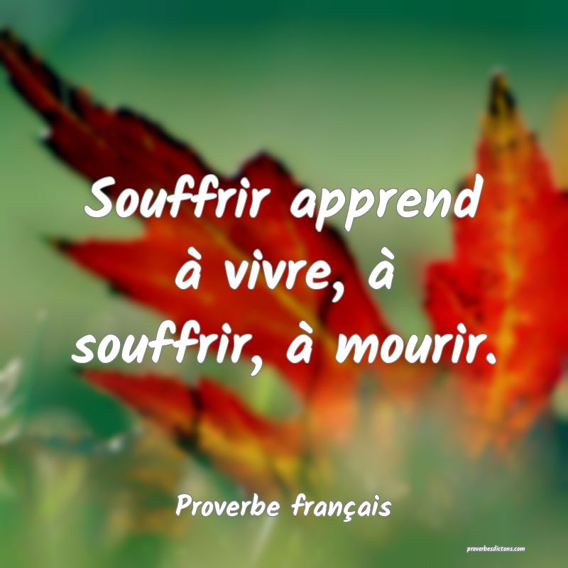 Souffrir apprend à vivre, à souffrir, à mourir.