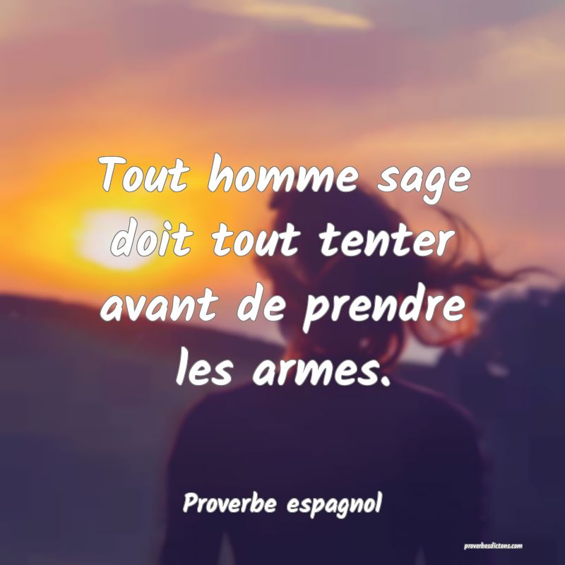 Tout homme sage doit tout tenter avant de prendre les armes.
