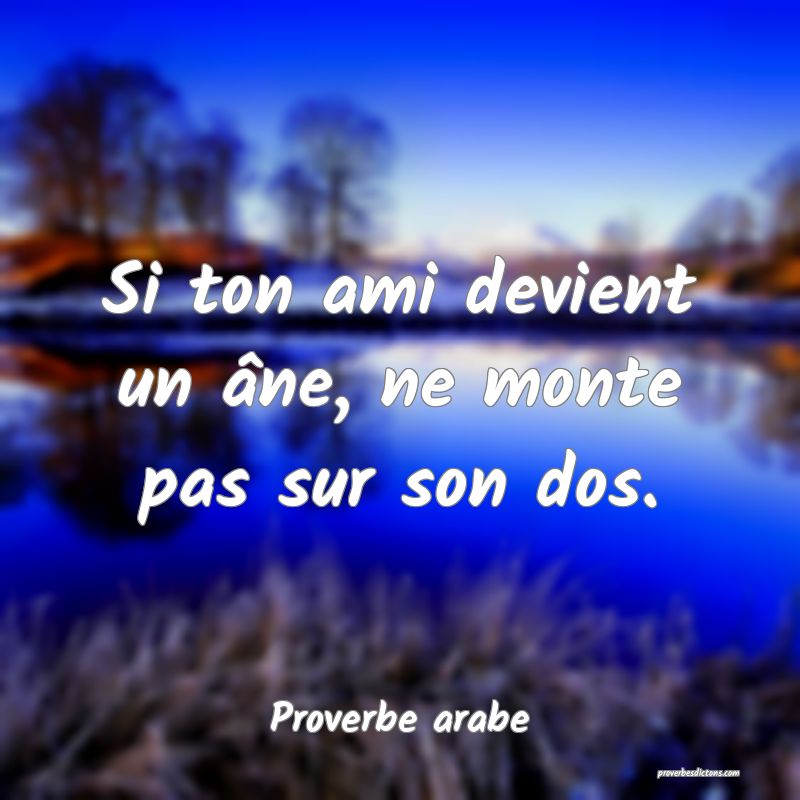 Si ton ami devient un âne, ne monte pas sur son dos.