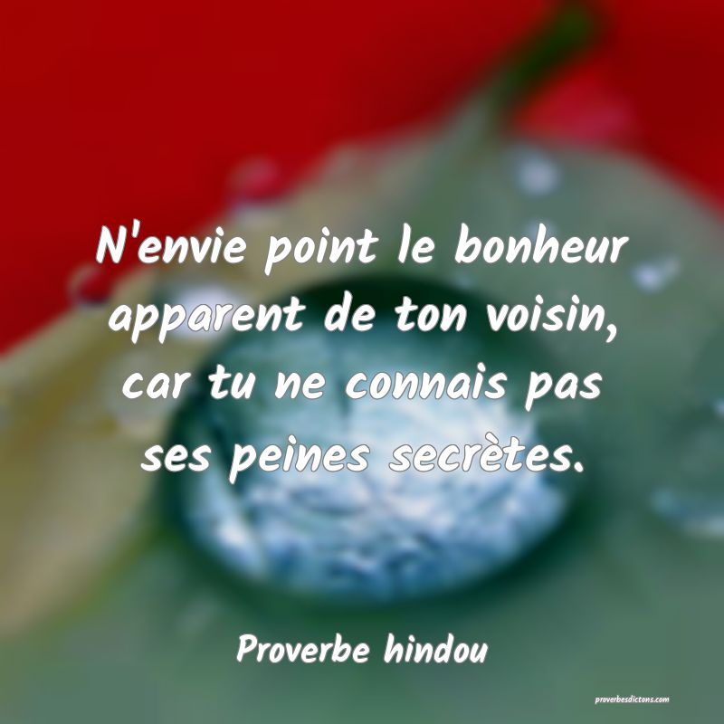 N'envie point le bonheur apparent de ton voisin, car tu ne connais pas ses peines secrètes.