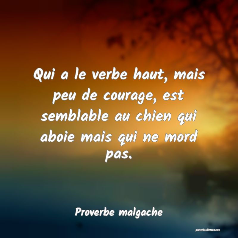 Qui a le verbe haut, mais peu de courage, est semblable au chien qui aboie mais qui ne mord pas.