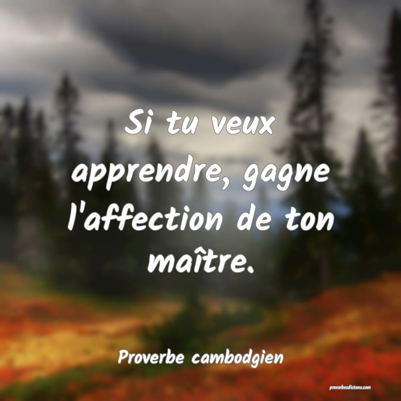 Si tu veux apprendre, gagne l'affection de ton maître.