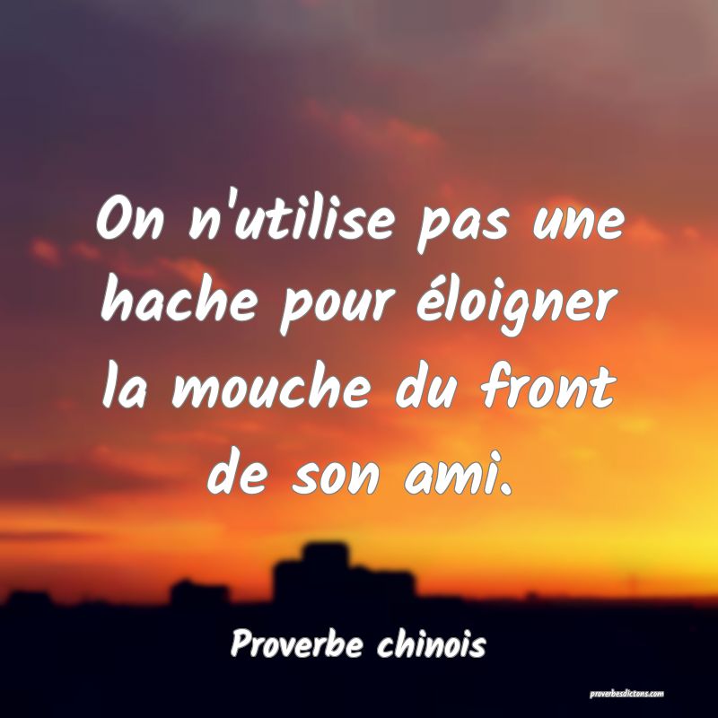 On n'utilise pas une hache pour éloigner la mouche du front de son ami.