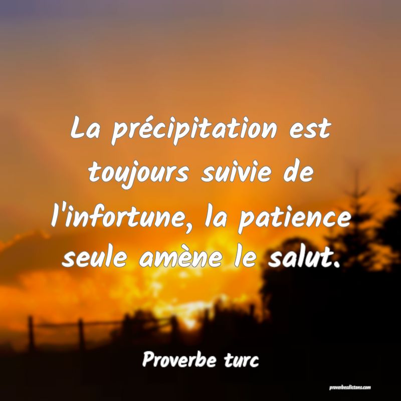 La précipitation est toujours suivie de l'infortune, la patience seule amène le salut.