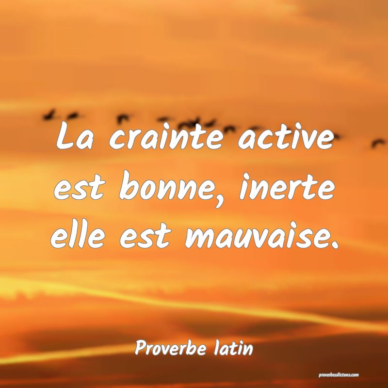 La crainte active est bonne, inerte elle est mauvaise.