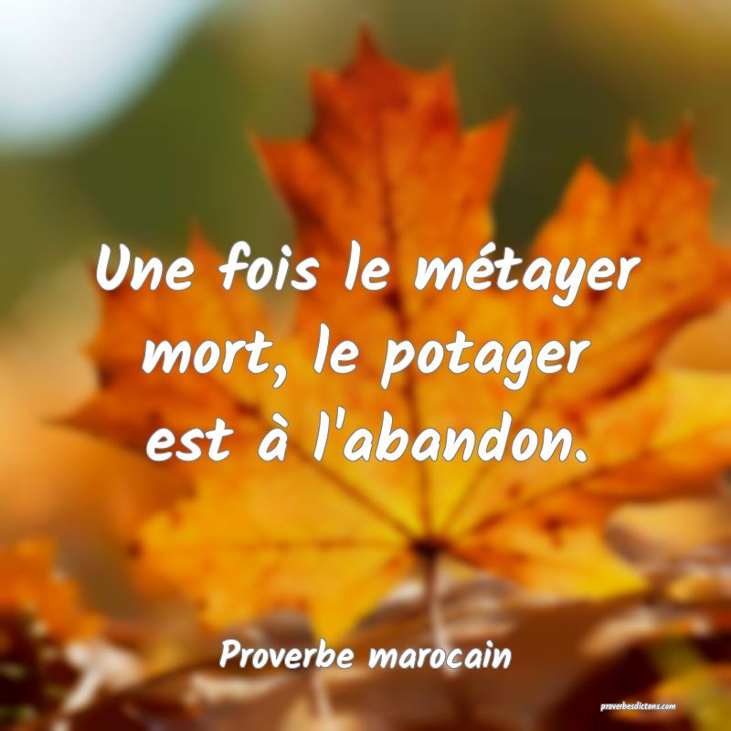 Une fois le métayer mort, le potager est à l'abandon.