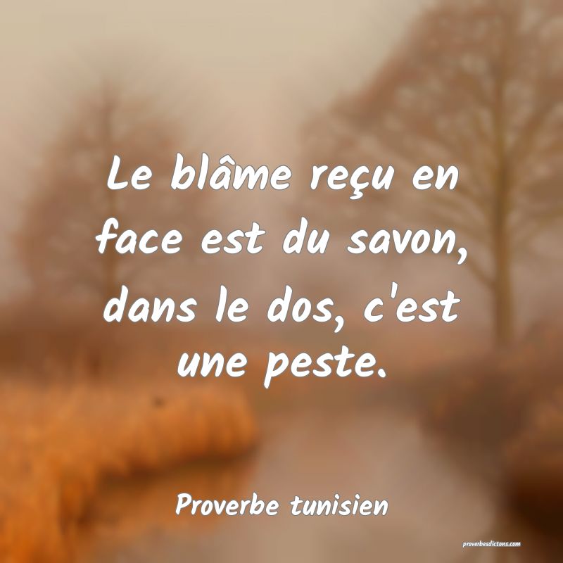 Le blâme reçu en face est du savon, dans le dos, c'est une peste.