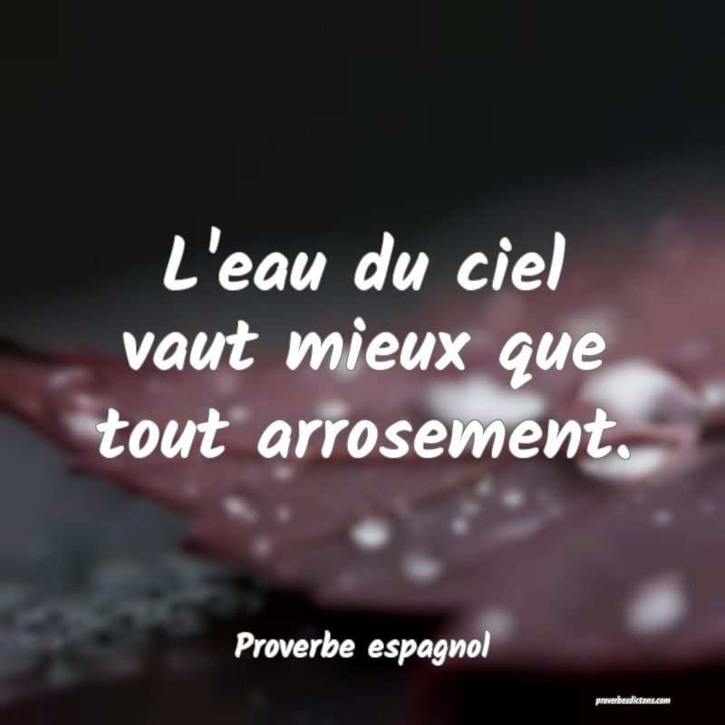 L'eau du ciel vaut mieux que tout arrosement.