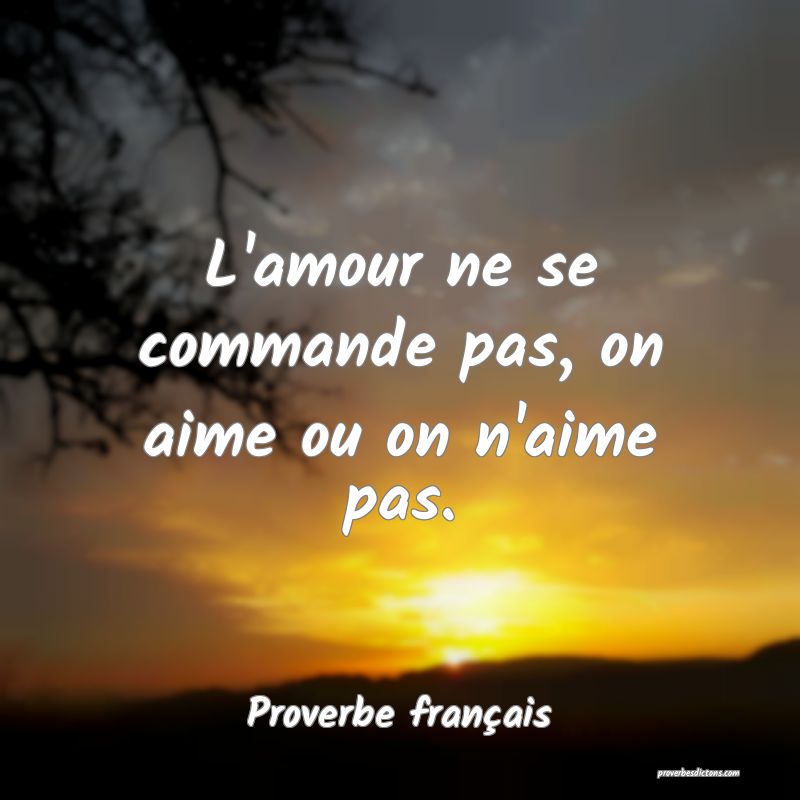L'amour ne se commande pas, on aime ou on n'aime pas.