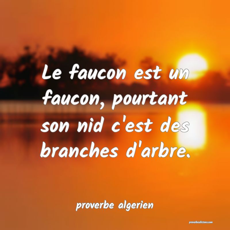  Le faucon est un faucon, pourtant son nid c'est des branches d'arbre.