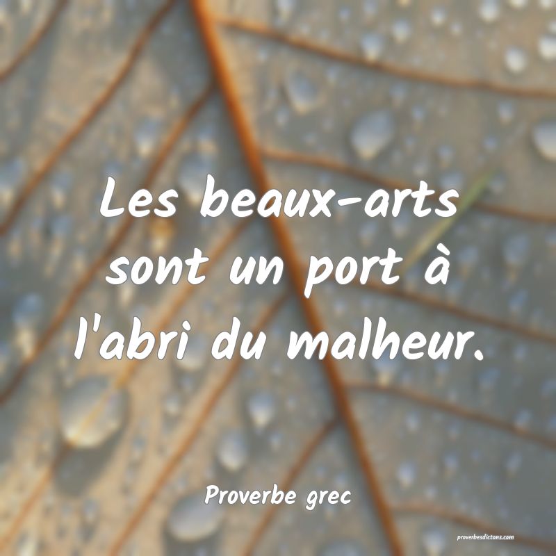 Les beaux-arts sont un port à l'abri du malheur.