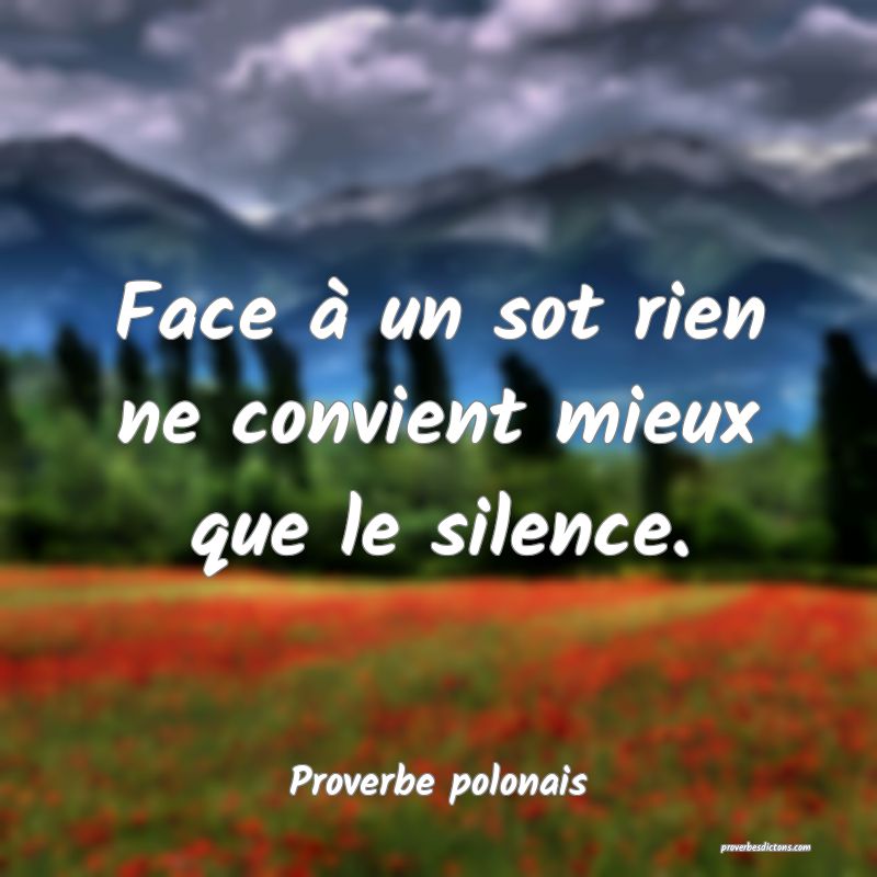 Face à un sot rien ne convient mieux que le silence.