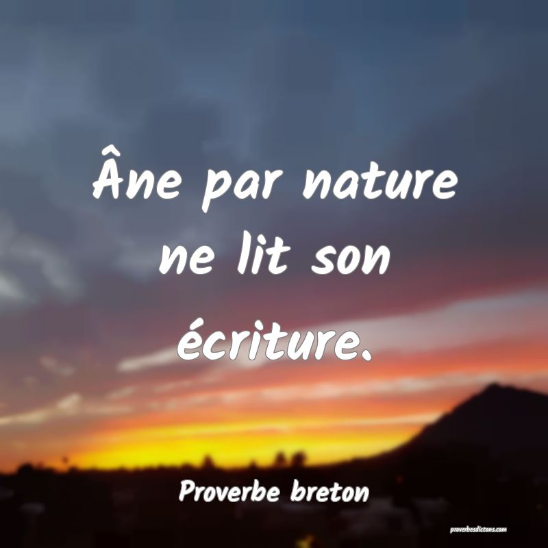 Âne par nature ne lit son écriture.