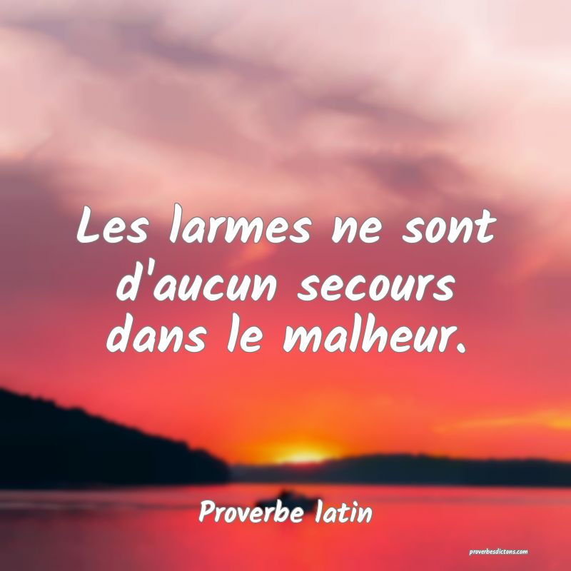 Les larmes ne sont d'aucun secours dans le malheur.