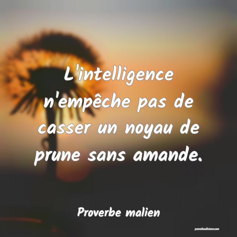 L'intelligence n'empêche pas de casser un noyau de prune sans amande.