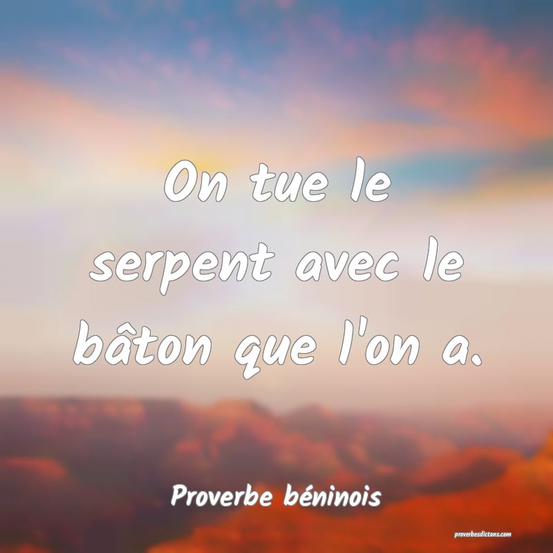 On tue le serpent avec le bâton que l'on a.