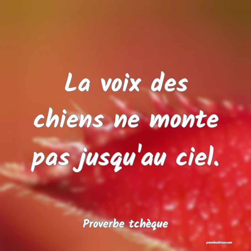La voix des chiens ne monte pas jusqu'au ciel.