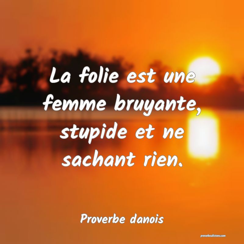 La folie est une femme bruyante, stupide et ne sachant rien.