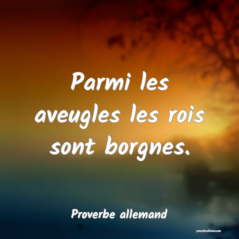 Parmi les aveugles les rois sont borgnes.